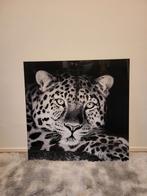 Schilderij zwart-wit luipaard print, Huis en Inrichting, 50 tot 75 cm, Ophalen of Verzenden, 50 tot 75 cm, Print