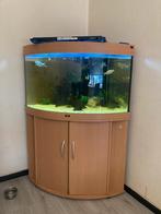 Juwel aquarium 190L met filter, Dieren en Toebehoren, Vissen | Aquaria en Toebehoren, Ophalen, Gebruikt, Leeg aquarium