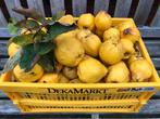 Te koop biologische kweeperen uit eigen tuin, Diversen, Levensmiddelen, Ophalen of Verzenden