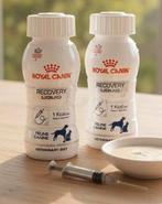 Recovery Liquid 200 ml voor een verzwakte kat of hond – Datu, Ophalen