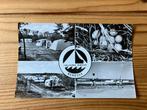 Ansichtkaart Renesse, camping julianahoeve, Ophalen of Verzenden, 1960 tot 1980