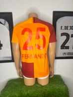 Galatasaray thuisshirt 2018/2019 Fernando, Maat M, Ophalen of Verzenden, Zo goed als nieuw, Shirt