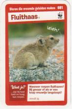 Super dieren no.81 Fluithaas [2716]  [VeOvSu], Verzamelen, Supermarktacties, Albert Heijn, Ophalen of Verzenden