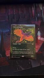 Birds of Paradise, Ophalen of Verzenden, Zo goed als nieuw