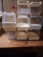 Tekoop vogel toe behoor, Meerdere dieren, Parkiet