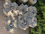Grastegels - 42 stuks - 10m2 - 60x40x10 cm, Tuin en Terras, Ophalen, Gebruikt, Klinkers, 10 m² of meer