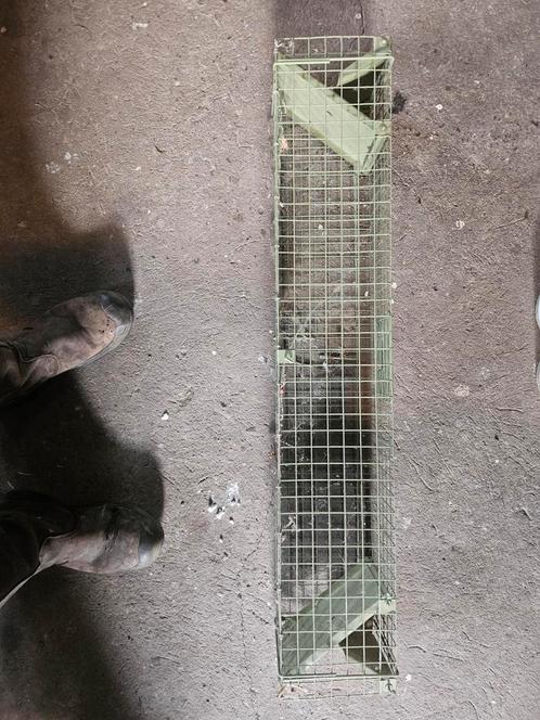 Vang kooi, Dieren en Toebehoren, Overige Dieren-accessoires, Zo goed als nieuw, Ophalen