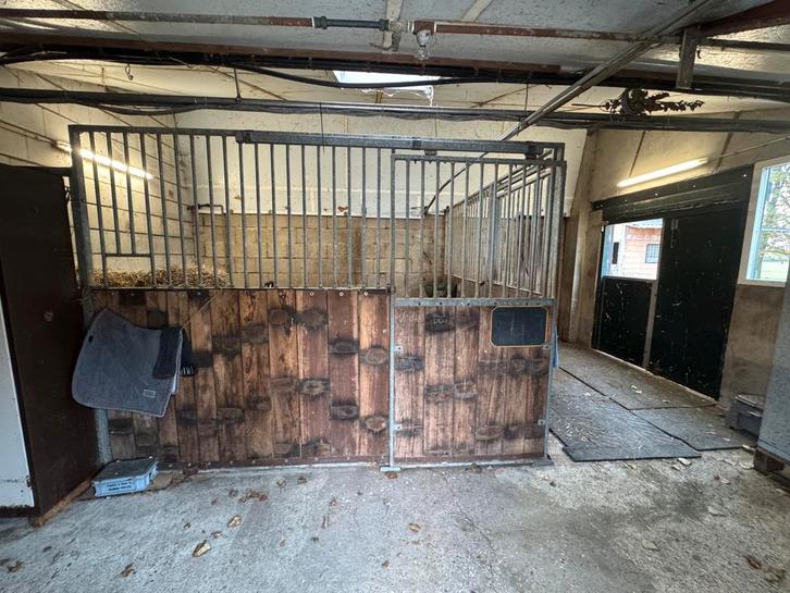 Stallen te huur, Dieren en Toebehoren, Stalling en Weidegang, Stalling