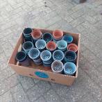 Kleine kweekpotjes, Ophalen, Kweeklamp