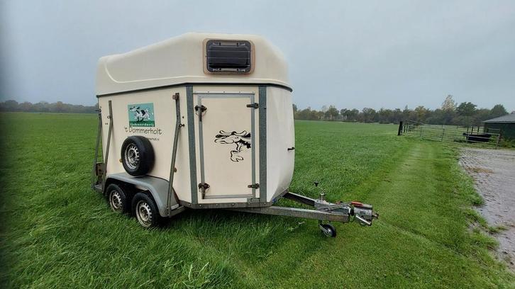 Te koop 2 paards paardentrailer, Dieren en Toebehoren, Paarden en Pony's | Trailers en Aanhangwagens, Gebruikt, Ophalen