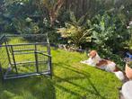 Bench hond Maxxpet, Dieren en Toebehoren, Ophalen, Gebruikt