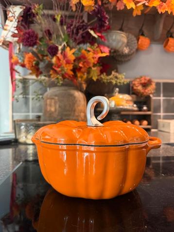 Gietijzeren Pompoenpan - Alle Warmtebronnen beschikbaar voor biedingen