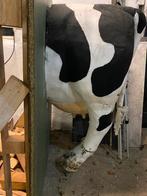 Achterwerk van een koe, Ophalen, Zo goed als nieuw, Overige soorten