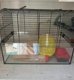 Hamsterkooi, Dieren en Toebehoren, Knaagdieren en Konijnen | Hokken en Kooien, Kooi, Minder dan 75 cm, Zo goed als nieuw, Ophalen
