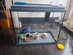 Zolux aquarium 18 liter, Dieren en Toebehoren, Vissen | Aquaria en Toebehoren, Ophalen, Zo goed als nieuw, Leeg aquarium