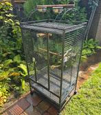 Papegaaienkooi, Dieren en Toebehoren, Ophalen, Zo goed als nieuw, Metaal, Vogelkooi