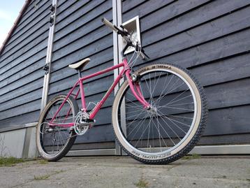Vintage Panasonic mountainbike 1989 beschikbaar voor biedingen