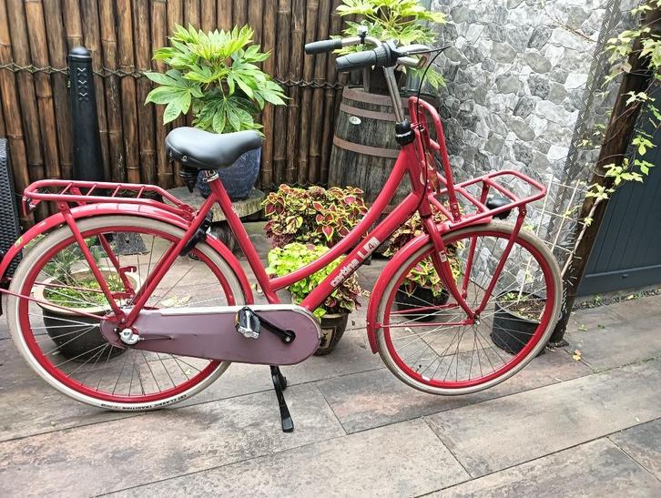 cortina u4, Fietsen en Brommers, Fietsen | Dames | Damesfietsen, Zo goed als nieuw, Overige merken, Versnellingen, 56 cm of meer