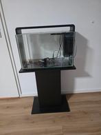 Compleet aquarium te koop met onderkast en spullen, Dieren en Toebehoren, Vissen | Aquaria en Toebehoren, Ophalen of Verzenden