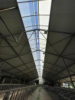 Ligboxenstal, nokconstructie, ventilatienok met lichtstraat, Dieren en Toebehoren, Stalling en Weidegang