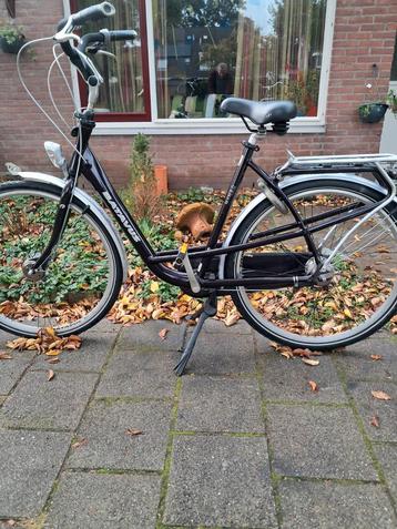 Batavus Mambo 57cm 7Nexus versnellingen.  beschikbaar voor biedingen