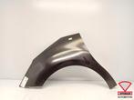 Citroen C3 DS3 2010-2013 Zijscherm Spatbord Links Voor