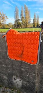 Qhp cross dressuur full, Dieren en Toebehoren, Ophalen of Verzenden, Zo goed als nieuw, Dekje