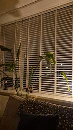 Houten Luxaflex / Jaloezie, Ophalen, 100 tot 150 cm, Modern, Wit