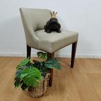 Antiek, vintage stoeltje, fauteuiltje, stoel, fauteuil, Hout, Valkenswaard, Gebruikt, Bruin
