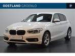BMW 1 Serie 118i High Executive Automaat / Achteruitrijcamer, Gebruikt, Wit, Bedrijf, 650 kg