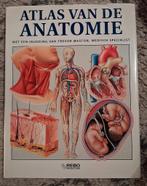 Atlas van de anatomie - rebo, Ophalen of Verzenden, Zo goed als nieuw