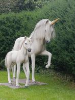 Stalling gezocht in de buurt van Emmen, Dieren en Toebehoren, Stalling en Weidegang, Stalling, 4 paarden of pony's of meer