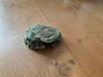Sierelement aquarium kleine grot, Ophalen of Verzenden, Gebruikt, Sierelement