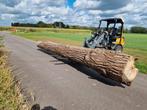 Stam Houtblok voor de Kachel, Tuin en Terras, Haardhout, Ophalen of Verzenden, Overige houtsoorten