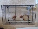 Hamsterkooi, Dieren en Toebehoren, Ophalen of Verzenden, Minder dan 75 cm, Kooi, Minder dan 60 cm