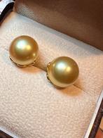 South Sea parel oorstekers, Ophalen of Verzenden, Nieuw, Goud, Knopjes of Stekers
