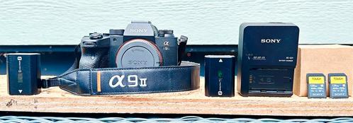 Sony A9ll, Audio, Tv en Foto, Actiecamera's, Zo goed als nieuw, Sony, Ophalen