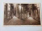 Beetsterzwaag Kruislaan, Ophalen of Verzenden, Voor 1920, Ongelopen, Friesland