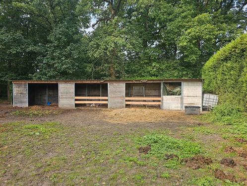Paarden weide incl. Schuilstallen, Dieren en Toebehoren, Stalling en Weidegang