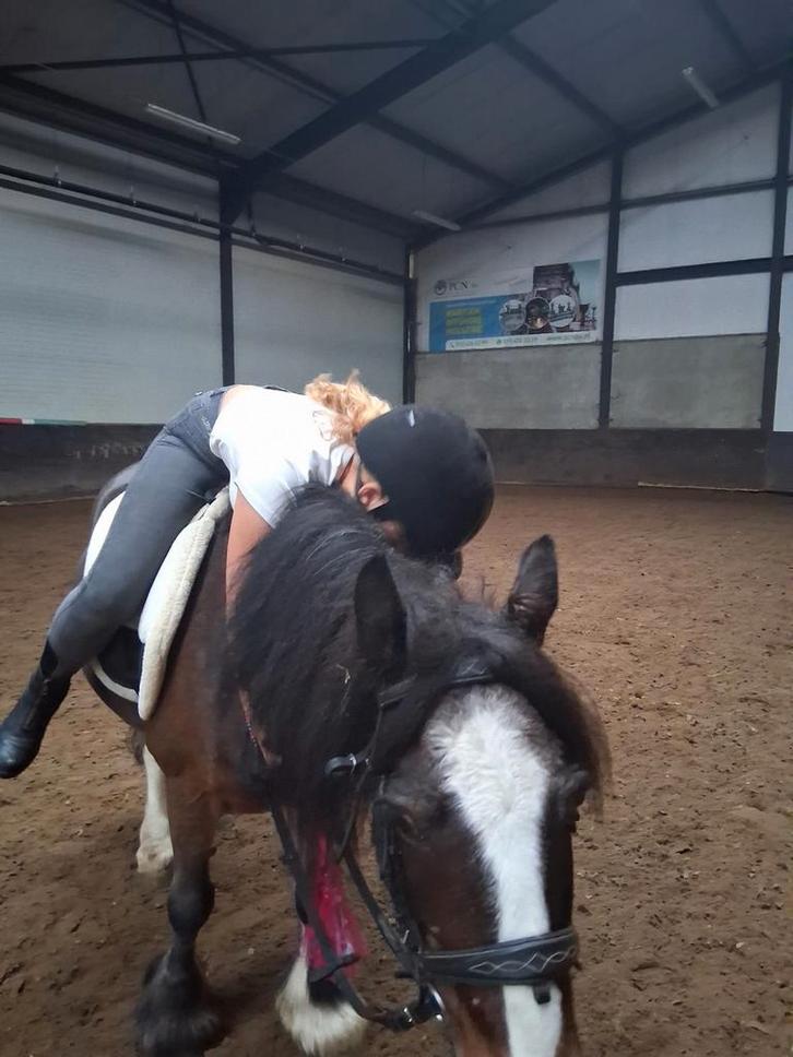 Verzorger, bijrijder, stal hulp. Aan geboden, Dieren en Toebehoren, Paarden en Pony's | Overige Paardenspullen, Ophalen of Verzenden