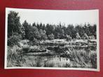 Grolloo bij Assen Veenplas 1956, Ophalen of Verzenden, 1940 tot 1960, Drenthe