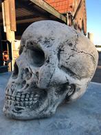 Totenkopf 70kg Schedel Vintage Harley Tattoo skull Doodskop, Ophalen, Nieuw, Beton, Mensenbeeld