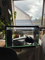Superfish home 30 aquarium zwart met ectra spullen, Dieren en Toebehoren, Vissen | Aquaria en Toebehoren, Ophalen of Verzenden