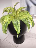 Elho Pure Bloempot met Kunstvaren - Stijlvol!41 cm, Kunststof, Rond, Binnen, Ophalen of Verzenden