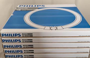 Philips master TL5 circular verlichtig beschikbaar voor biedingen