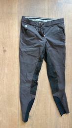 Paardrijbroek Equiline, Dieren en Toebehoren, Ophalen of Verzenden, Gebruikt, Dressuur, Bovenkleding
