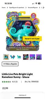 Little Live Pets Chameleon, Ophalen of Verzenden, Zo goed als nieuw, Jongen of Meisje