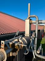 Mestscheider, Augustus, Geslacht onbekend