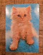 Snoezige rode kitten, Verzenden, 1980 tot heden, Gelopen, Hond of Kat