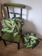 kunstplant in capi pot per stuk 29,95, Belle Vieille Brocante, Nieuw, Ophalen of Verzenden, Jolandamonsieurs@gmail.com